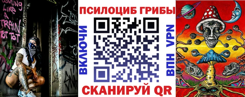 Псилоцибиновые грибы прущие грибы  дарнет шоп  Новохопёрск 