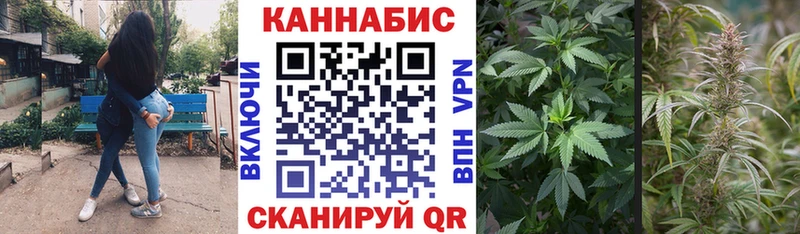 наркошоп  мега зеркало  Конопля THC 21%  Новохопёрск 